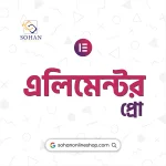 Elementor Pro Cheap Price In Bangladesh