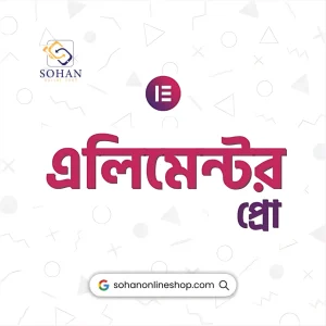 Elementor Pro Cheap Price In Bangladesh
